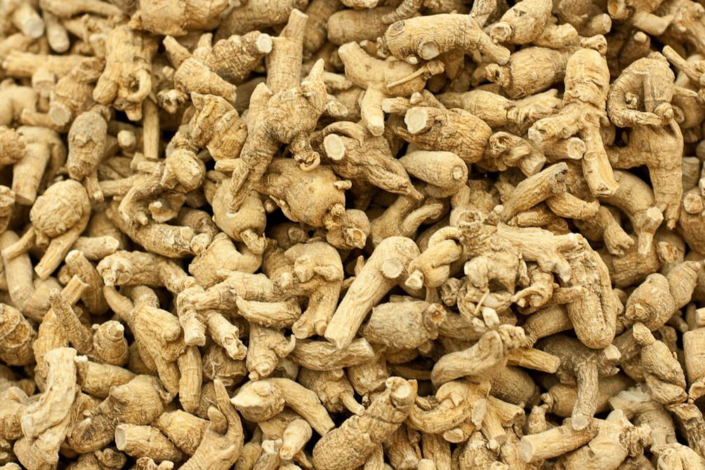 ρίζα ginseng για αύξηση της ισχύος
